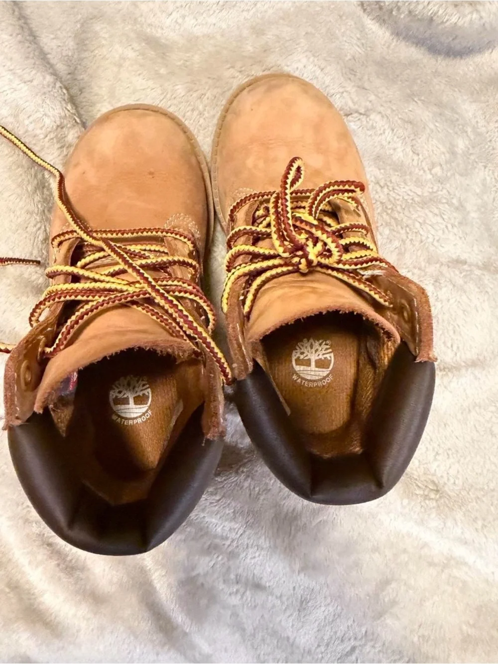 Timberland durable wheat